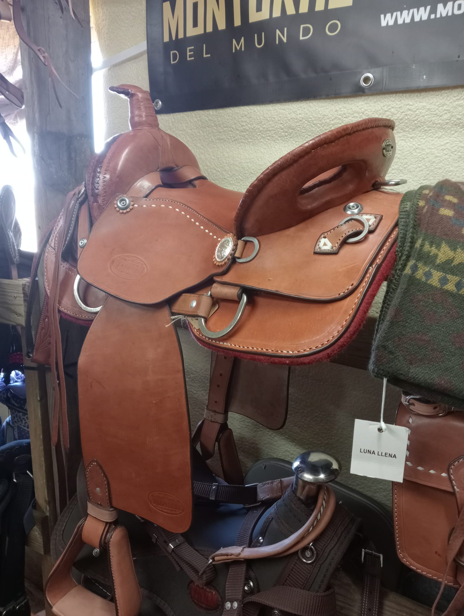 imagen/hzNVgUS4gHPgriGLRykYnv4HQAsxKdlln4wMtLjP.jpg.